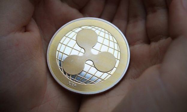 Pushd (PUSHD) Presale Amid Solana (SOL) and Ripple (XRP) Price Peaks