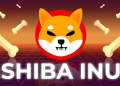 Dogecoin (DOGE) & Shiba Inu (SHIB) Holders Discover Excitement in Raffle Coin (RAFF)’s Innovative Raffle Presale As 100X Predicted