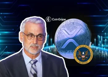 Ripple CLO Stuart Alderoty Spotlights Another Loss for SEC and Gensler