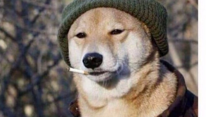 Solana’s Biggest Memecoin Gains $681,000 In 3 Days