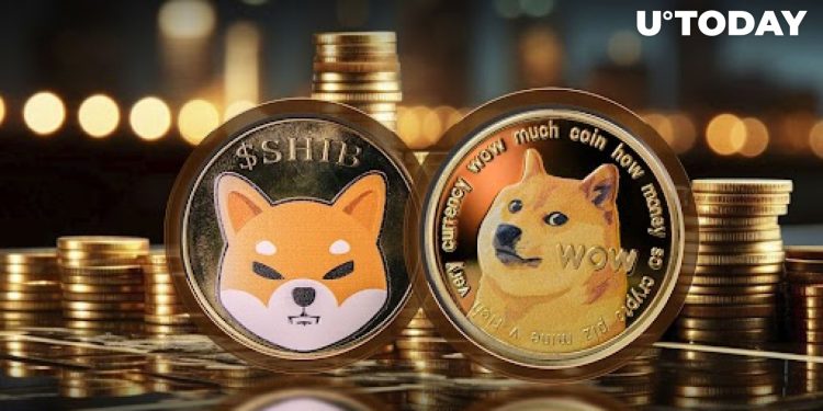Which Meme Coin is Best-Performing?