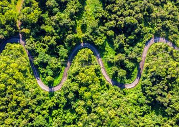 Wormhole Unveils The Roadmap for Its Native W Token