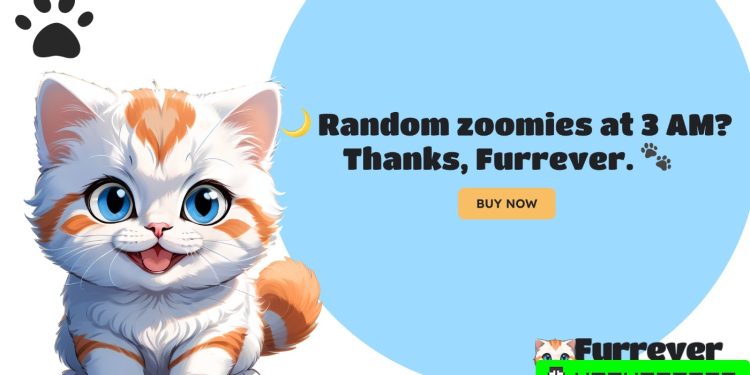 Solana (SOL) Surges 5%, Dogecoin (DOGE) Dips 3.5%: Furrever Token (FURR) Emerges as a Presale Gem