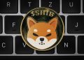 Shiba Inu Layer 2 Platform Shibarium Faces Technical Outage, SHIB Price Unaffected