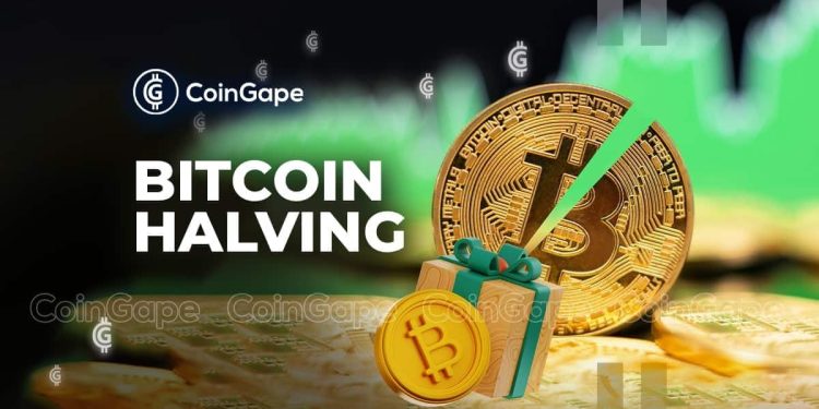 How Is Bitcoin Halving Adjusting The Market?