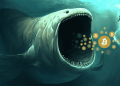 Bitcoin At A Discount: Whales Continue To Gobble Up Every Price Dip