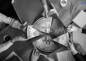 Crypto Market Rallies as BTC and ETH Lead Recovery