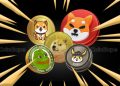 Dogecoin Insider Warns Against IP Claims by Memecoins