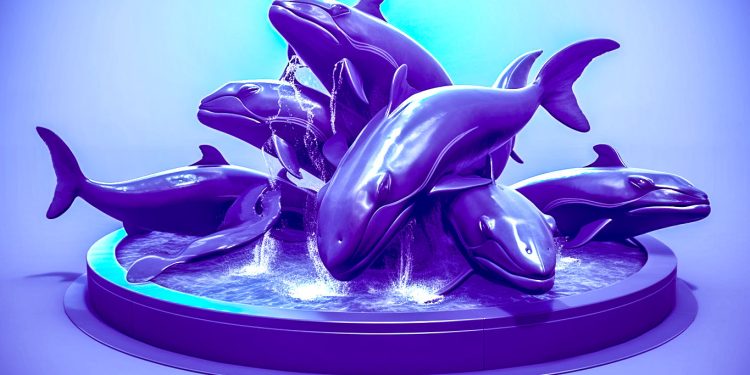 Solana Whales Scoop Up Millions of Dollars Worth of Memecoins As Crypto Markets Dip: Lookonchain