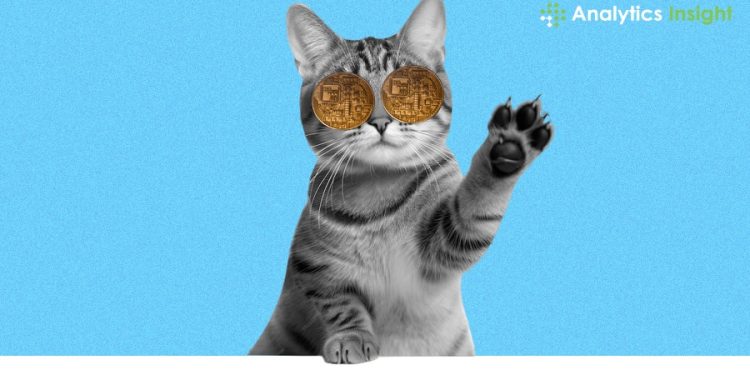 What Makes Cat Coins A Befitting Part Of Cryptocurrency?