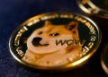 How Much Did Dogecoin Gain From it Today?