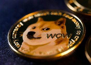 How Much Did Dogecoin Gain From it Today?