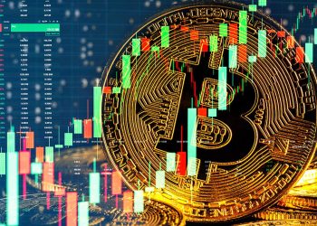 What To Expect From Bitcoin Recovery After The Crypto Market Crash?