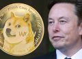 Did Elon Musk Buy $45 Million Worth of DOGE?