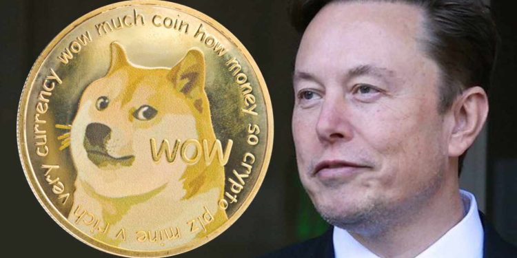 Did Elon Musk Buy $45 Million Worth of DOGE?