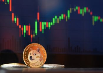 DOGE Price Set For Rebound? Whale Moves $26 Million In Dogecoin Off Robinhood