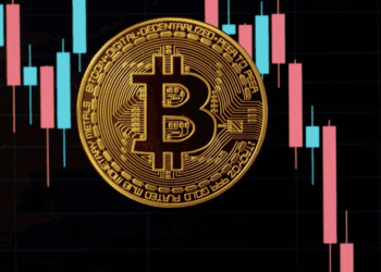 Bitcoin Withdrawals From Exchanges Hit Record High, What’s Next?