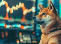 Shifting DeFi narratives: Memes soar as wallets position for dominance – CryptoSlate