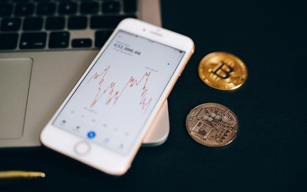 Public Sector Cryptocurrency: Applications and Prospects