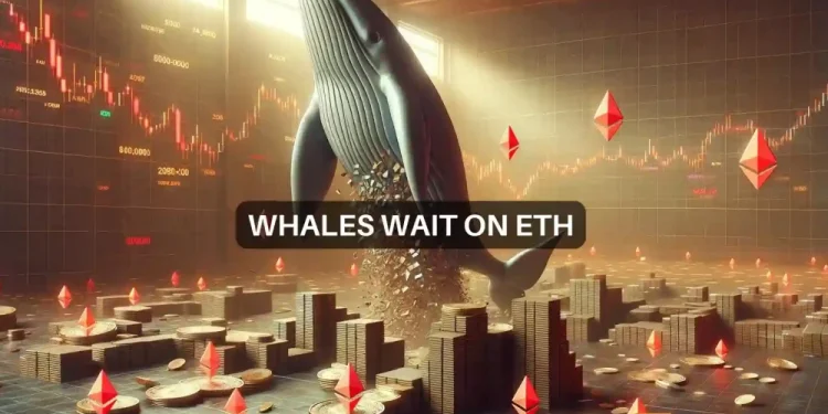 Is Ethereum whale’s $128 million ETH purchase HODLing advice for you?