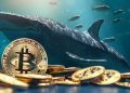 Bitcoin Whale Activity Surging, Confidence in Bull Market Returning