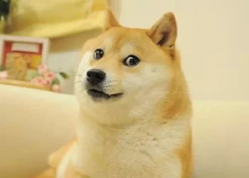 Dogecoin meme icon Kabosu dies at 17