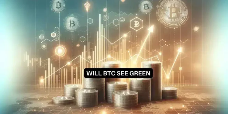 What Bitcoin ETFs and their record volumes tell us about HODLers