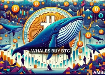 Bitcoin price’s hike to $64,000 – Whales had THIS role to play here