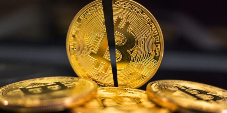 Bitcoin Clinging On To $60K, Ethereum, Dogecoin Bleed: ‘Bitcoin’s Final Move Will Be The Most Aggressive,’ Predicts Trader