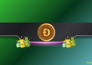 Here’s How Many DOGE HODLers are Currently in Profit
