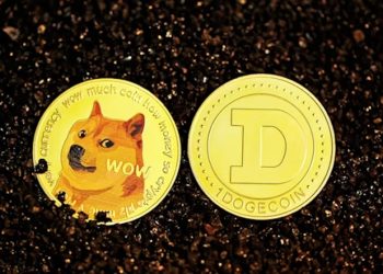 Insider Clarifies Tesla Accepts Only Dogecoin Amid Scam Concerns