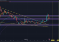 Dogecoin Enters Major Accumulation Zone, Is It Time To Get Back In?