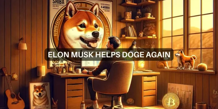 Dogecoin, Shiba Inu prices profit from Elon Musk’s latest post, but…