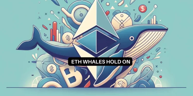 Ethereum: Why major investors are holding on despite ETH’s price rise
