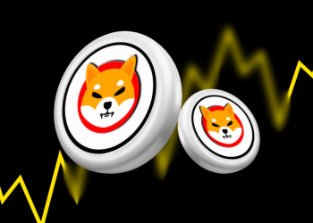 Shiba Inu Dominates Dogecoin In Whale Transactions: What’s Next For SHIB Price?