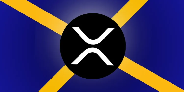 XRP Traders Panic for Price Drop