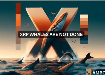 Why did 860,000 XRP investors choose the altcoin this month?