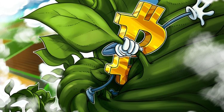Bitcoin crosses $66K as traders eye 2 key indicators for $70K target
