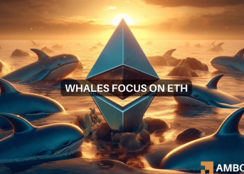 Why Ethereum’s crypto whale holdings increased 27% in 14 months