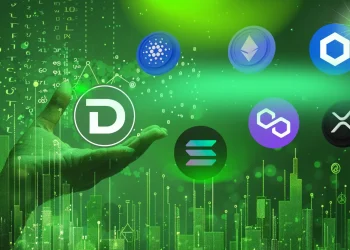 SOL Whales Benefit From Price That Is Only $0.04
