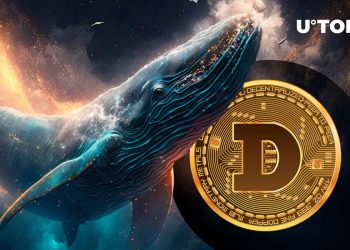 27.78 Billion Dogecoin (DOGE) in 24 Hours Stacked by Whales, What’s Happening?
