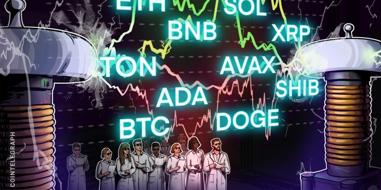 BTC, ETH, BNB, SOL, XRP, DOGE, TON, ADA, SHIB, AVAX