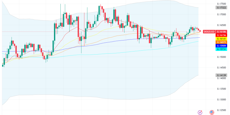 Dogecoin Surges as Institutional Investors Join the Memecoin Craze – FX Leaders