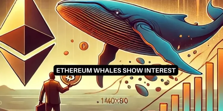 Ethereum whales are on the move: What does it mean for ETH’s future?