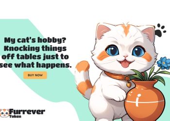 Why Furrever Token’s 25% Bonus Makes It the Top Meme Coin Over Dogecoin, Pepe Coin, and Bonk – Times Tabloid