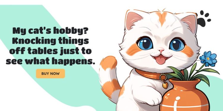 Why Furrever Token’s 25% Bonus Makes It the Top Meme Coin Over Dogecoin, Pepe Coin, and Bonk – Times Tabloid