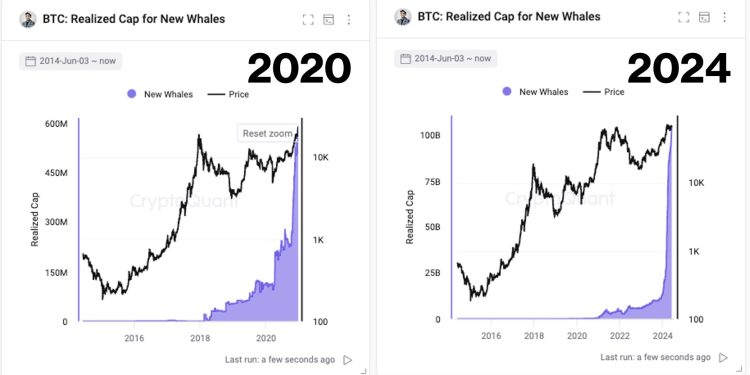 Bitcoin Whale Signal Echoes Pre-480% Surge In Mid-2020