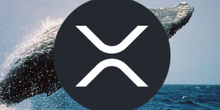 262 Million XRP Moved from this Top Exchange – Times Tabloid