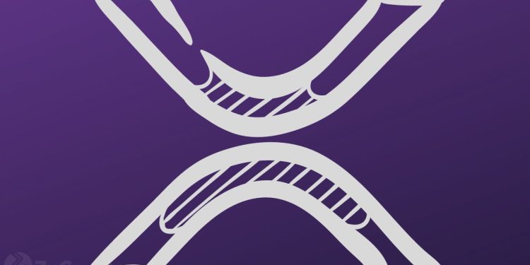 Massive Institutional Adoption of Ripple’s XRP Hangs On With ETF Likely To Trigger Mega XRP Boom ⋆ ZyCrypto