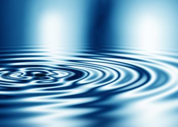 XRP Whale Goes On Shopping Spree! 27 Million Coins Snapped